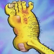 Average foot